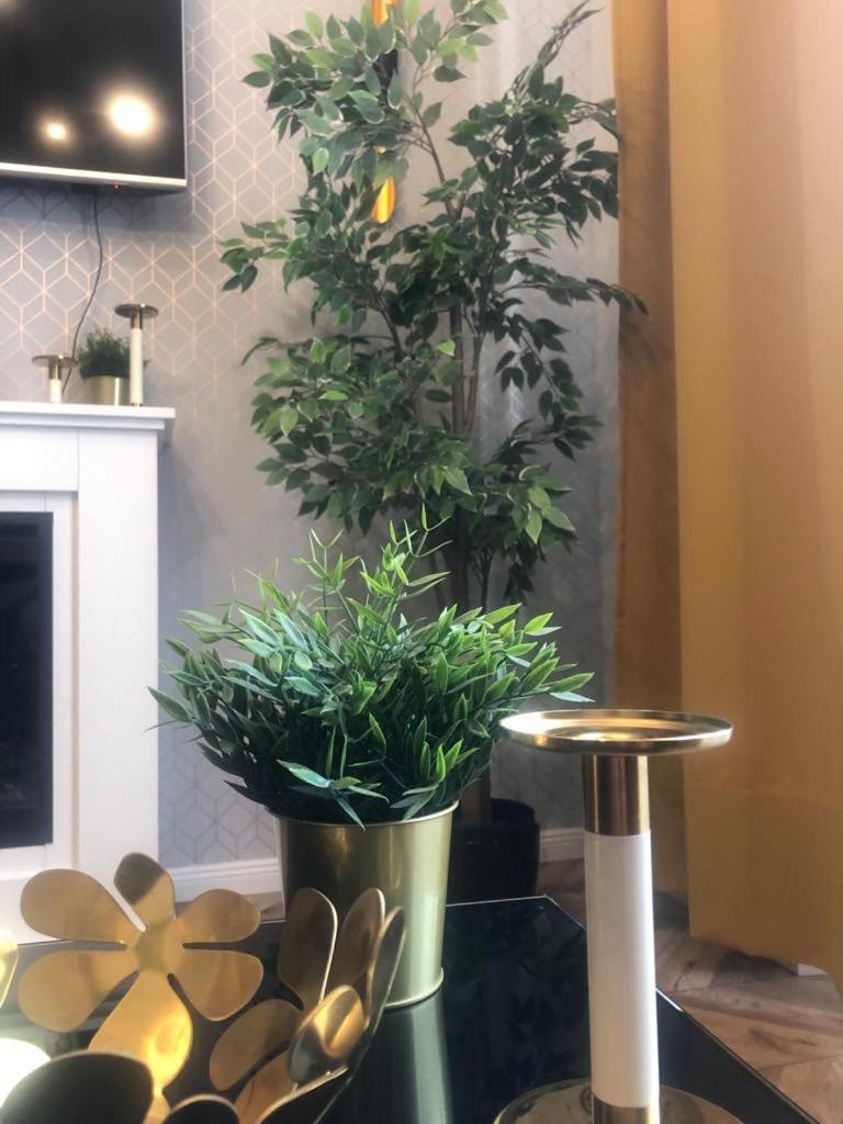 Glamorous Apartment Old Town Cracow Krakow Ngoại thất bức ảnh
